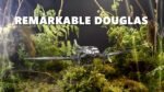 REMARKABLE DOUGLAS DC-3 - Image 4